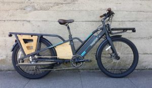 Magnum Payload electric bike