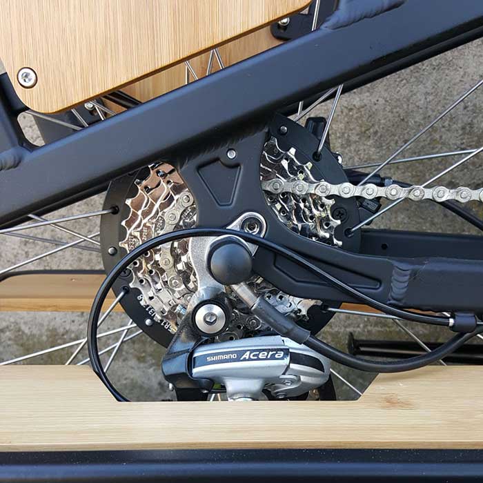Magnum Payload electric bike