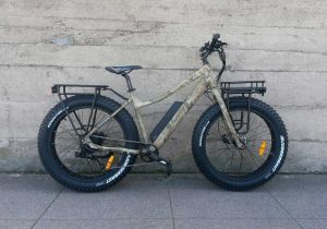 Surface-604-Boar-Electric-Bike