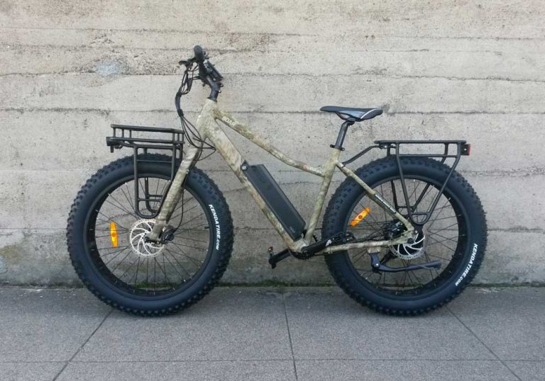 Ashland Electric Bikes Surface 604 Boar Electric Fat Bike Ashland