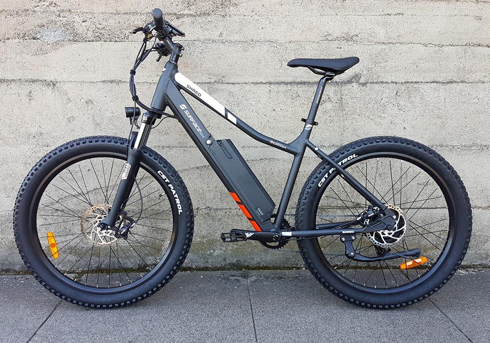 which electric mountain bike