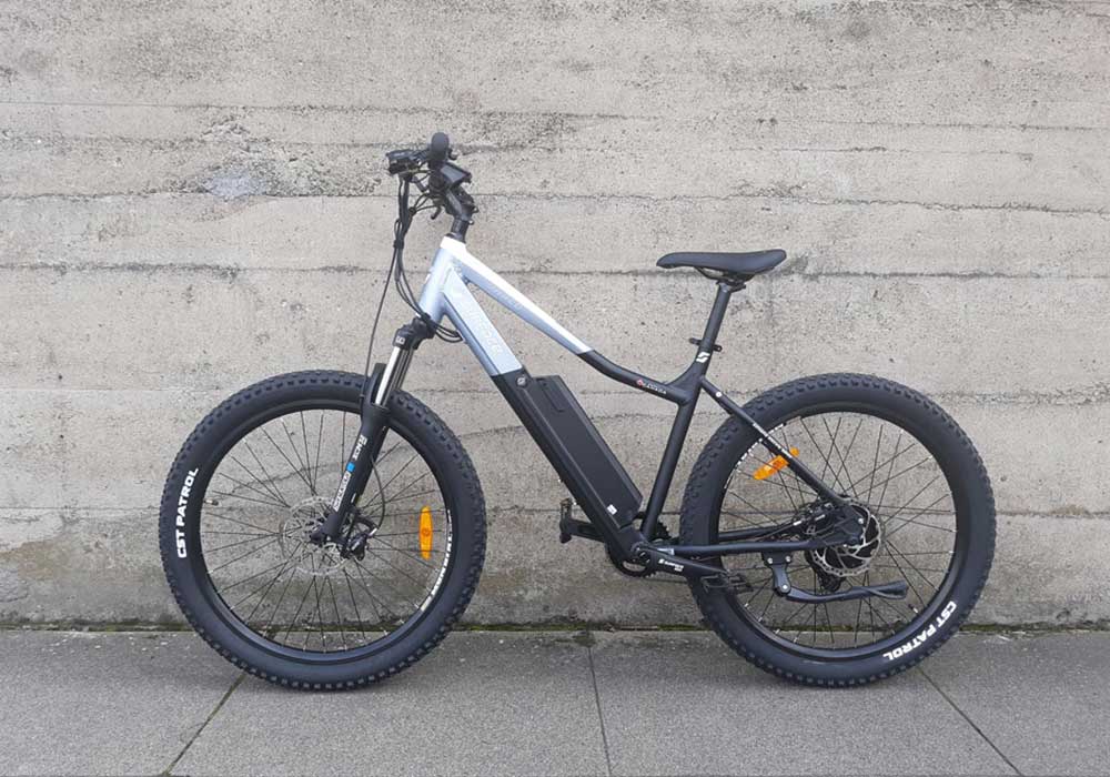 Surface 604 Shred Electric Mountain Bike